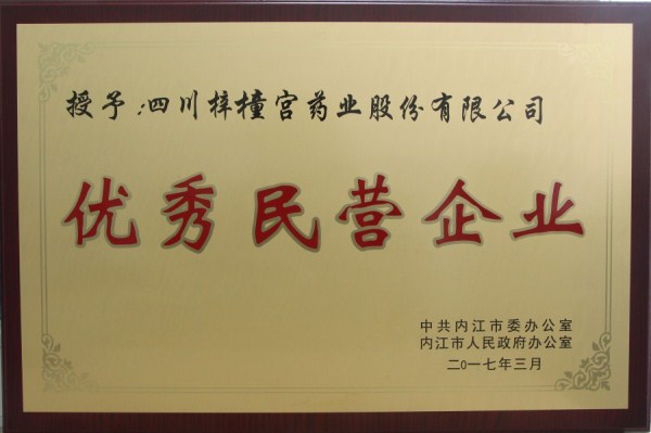 2017年3月內(nèi)江市優(yōu)秀民營企業(yè)獎(jiǎng)_副本_副本