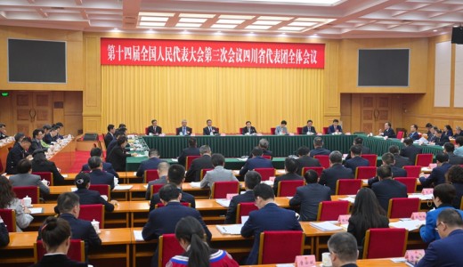 四川代表團(tuán)舉行全體會(huì)議 審議大會(huì)有關(guān)決議草案 王曉暉主持并講話 施小琳參加